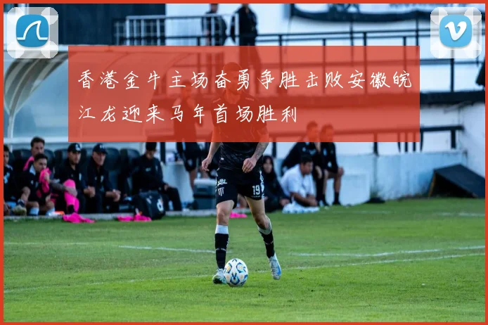 香港金牛主场奋勇争胜击败安徽皖江龙迎来马年首场胜利